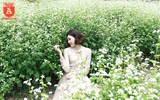 Ngỡ ngàng với cánh đồng hoa tam giác mạch nở trái mùa ở Hà Nội